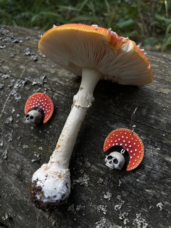 Простите, что у меня тут одни мухоморы последнее время, но красивая же фотка)