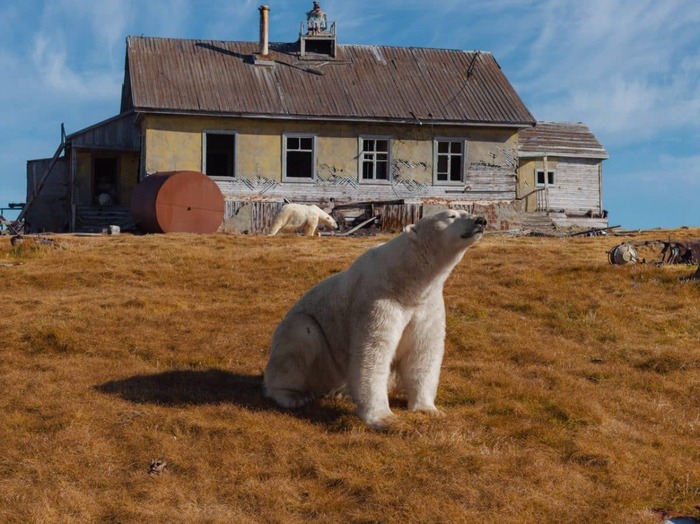 Новые полярники пришли на смену