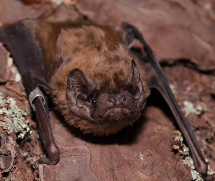 ������� ���� �������� �� ���� � �����