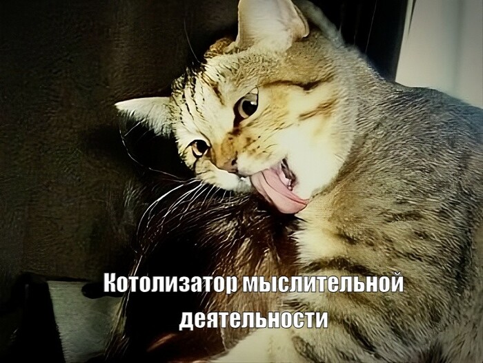 ����������� ������������ ������������