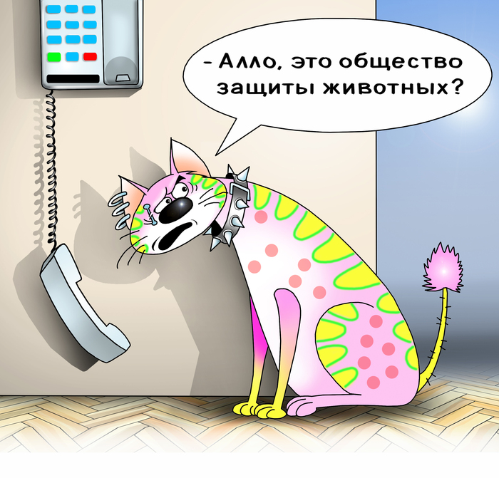 Без названия