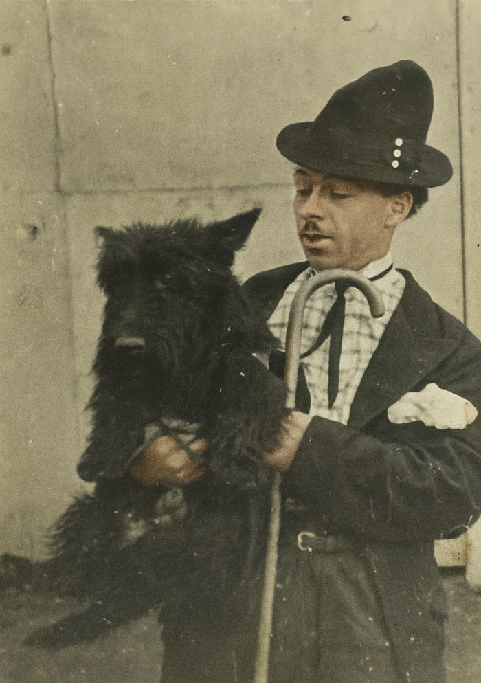  -.   ( )   , 19451950 .