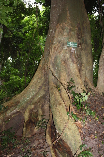      .  Marco Schmidt   <!--noindex--><a href="https://pikabu.ru/story/yadovityie_anchar_13337939?u=http%3A%2F%2Fbiodiversity4all.org&t=biodiversity4all.org&h=32306a37c32bd8b2259f54546007904ec83140b5" title="http://biodiversity4all.org" target="_blank" rel="nofollow noopener">biodiversity4all.org</a><!--/noindex-->.