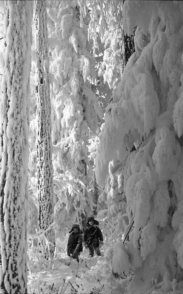 Зимняя сказка Сибири