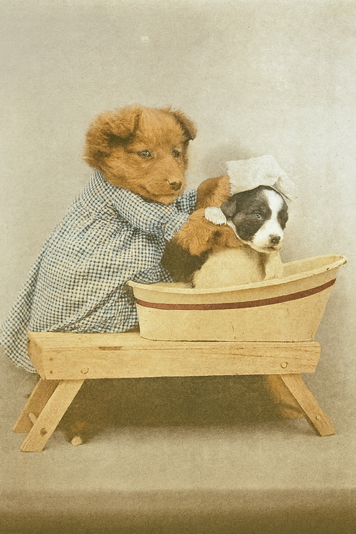 Час купания