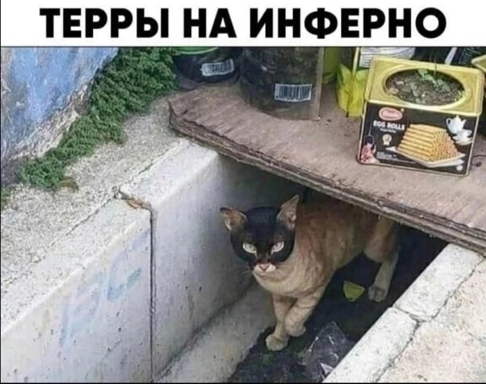 #мем@ilovecs_ru #iLoveCS#CS #CS16 #CounterStrike #Мужикипоймут