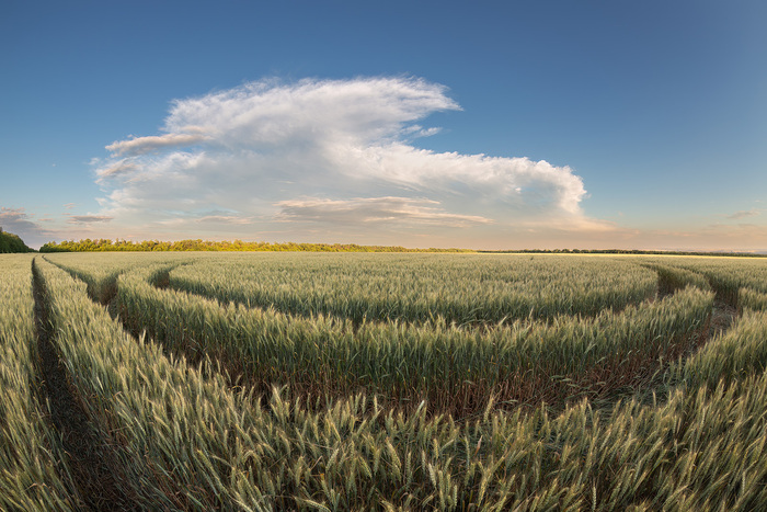 Опять эти инопланетяне...