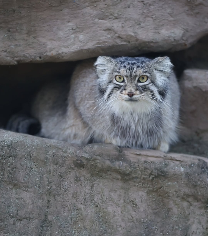 Ответ на пост «Красотка»