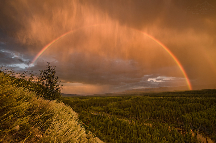 Rainbow