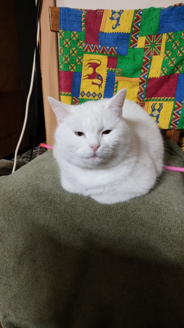 �������� ���� ���� 2