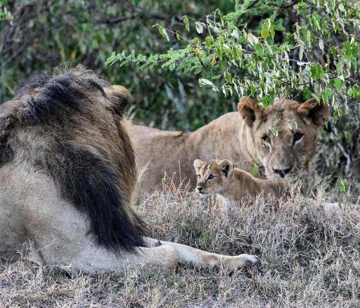 Хочу к папе!