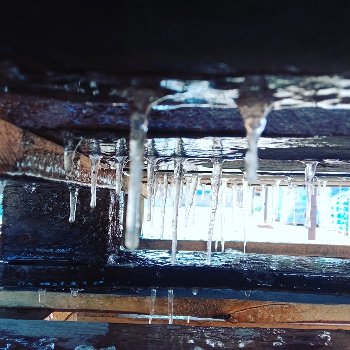 Ответ на пост «Просто хочу поделиться фотографией, которую у себя нашел а архиве»