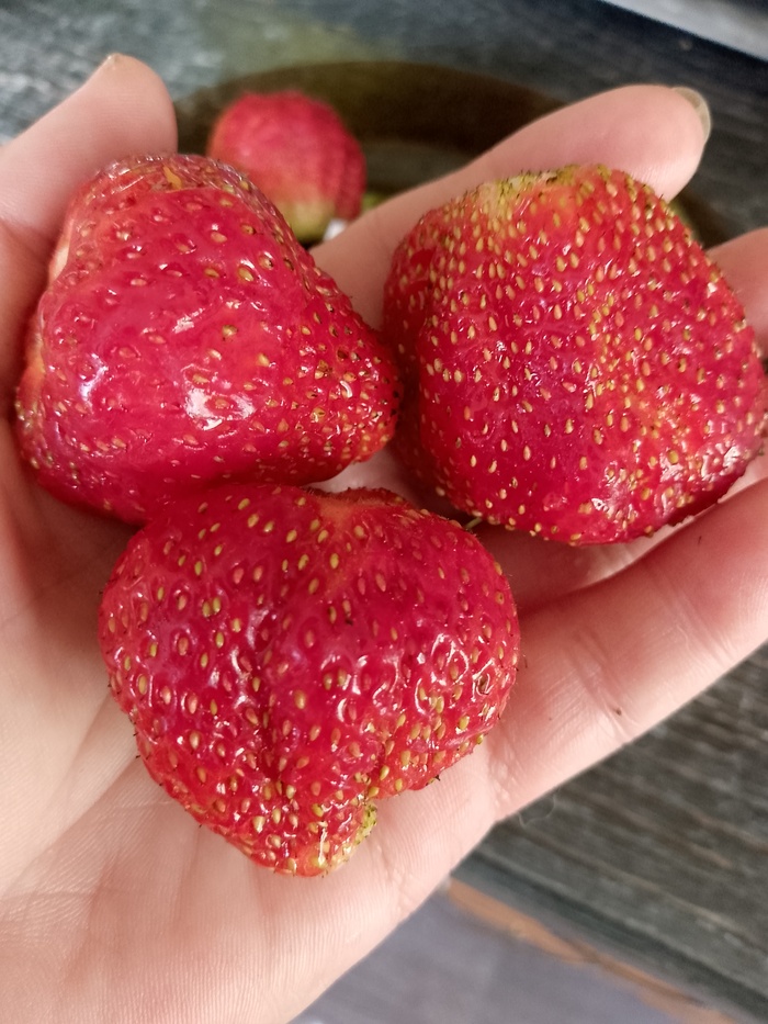 Немножко лета