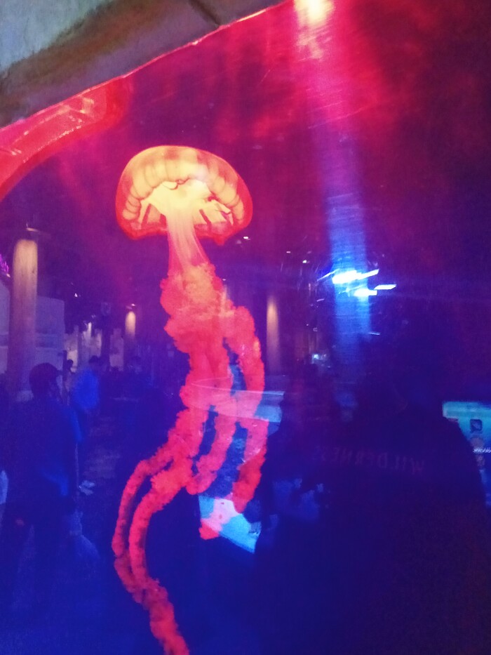 Ответ на пост «Просто хочу поделиться фотографией, которую у себя нашел а архиве»