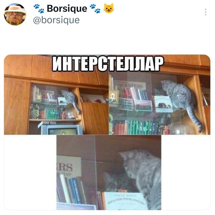 Котостеллар