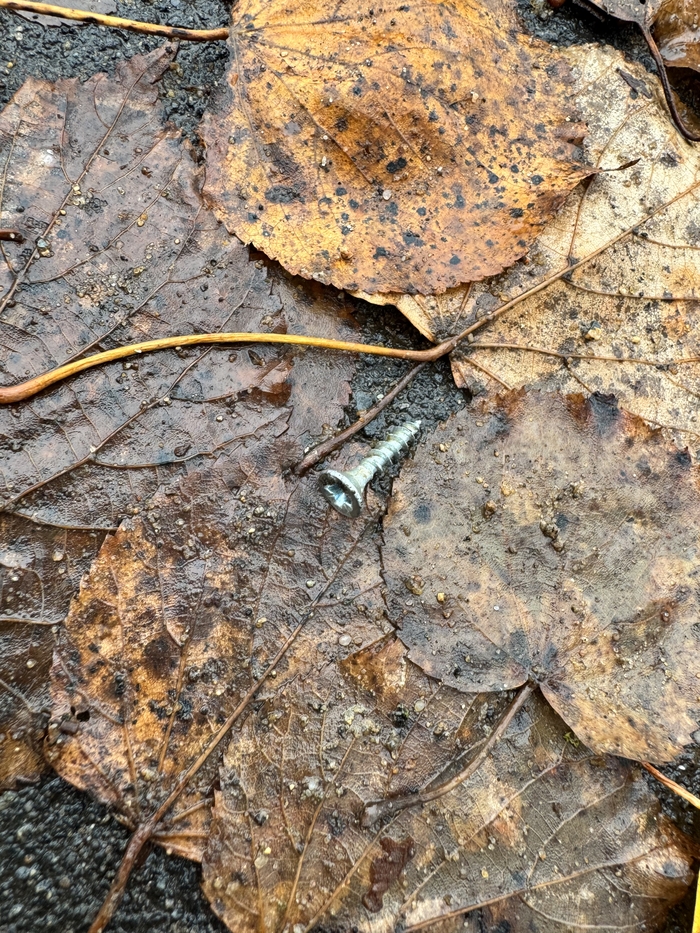 Ответ на пост «Просто хочу поделиться фотографией, которую у себя нашел а архиве»