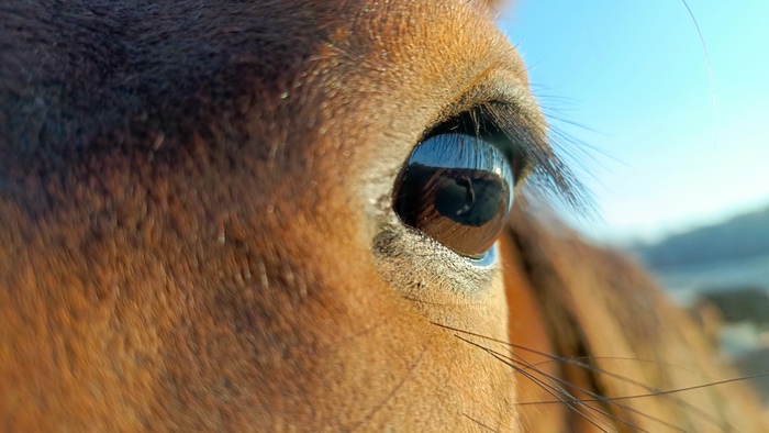 Ответ на пост «Просто хочу поделиться фотографией, которую у себя нашел а архиве»