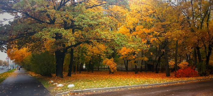 Такие краски бывают лишь осенью