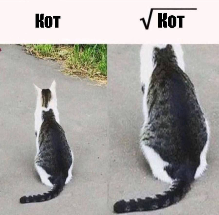 Показалось