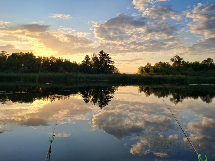Ответ Margo3999 в «Просто хочу поделиться фотографией, которую у себя нашел а архиве»