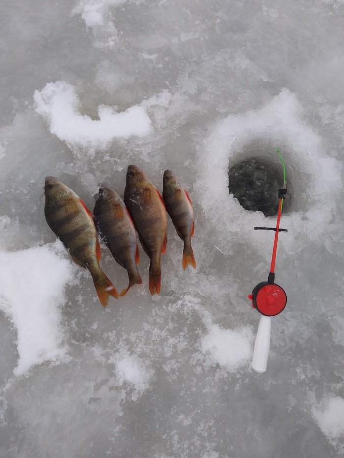 Скоро, скоро...