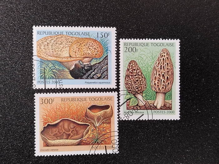 Марки - грибы 2000г (Того)