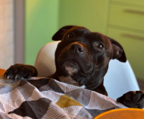 �������