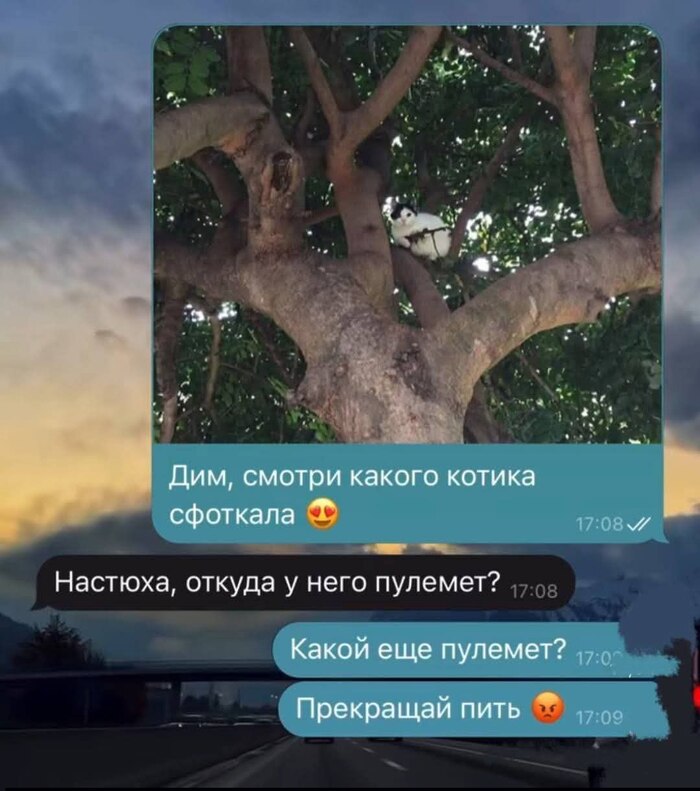 Показалось