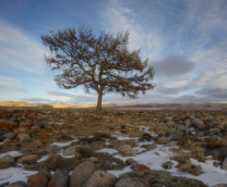 �������