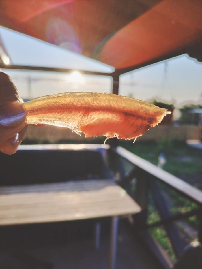 Ответ ratlover2013 в «Просто хочу поделиться фотографией, которую у себя нашел а архиве»