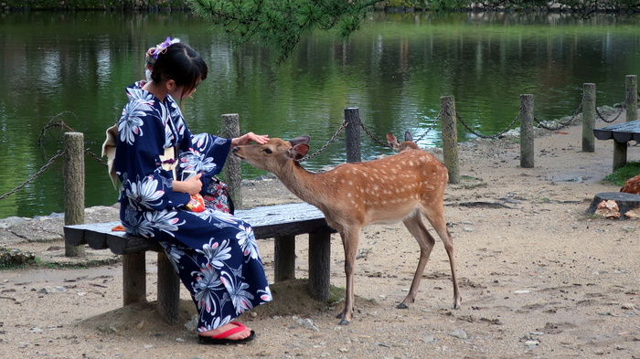Ответ на пост «Просто хочу поделиться фотографией, которую у себя нашел а архиве»
