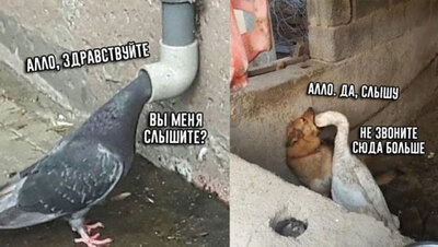 Иллюстрация к комментарию