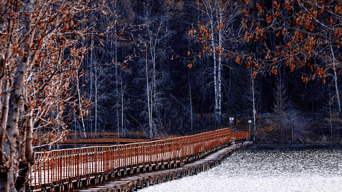 Осенняя фоточка. Мостик