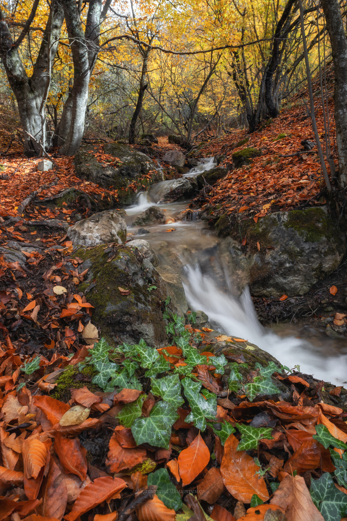 Осенний ручеек