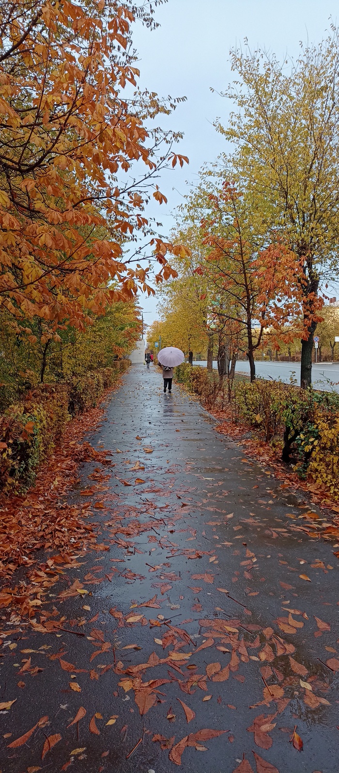 Ответ на пост «Просто хочу поделиться фотографией, которую у себя нашел а архиве»