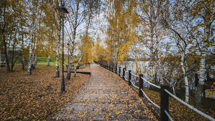 На велике прокатился. Мокро, туманно и по осеннему атмосферно