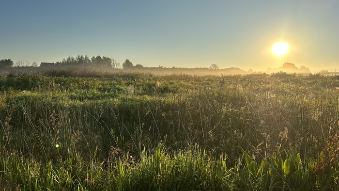 Село Мечетка, Воронежская область