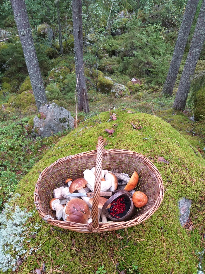 Ответ на пост «Просто хочу поделиться фотографией, которую у себя нашел а архиве»