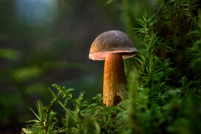 Укромное место