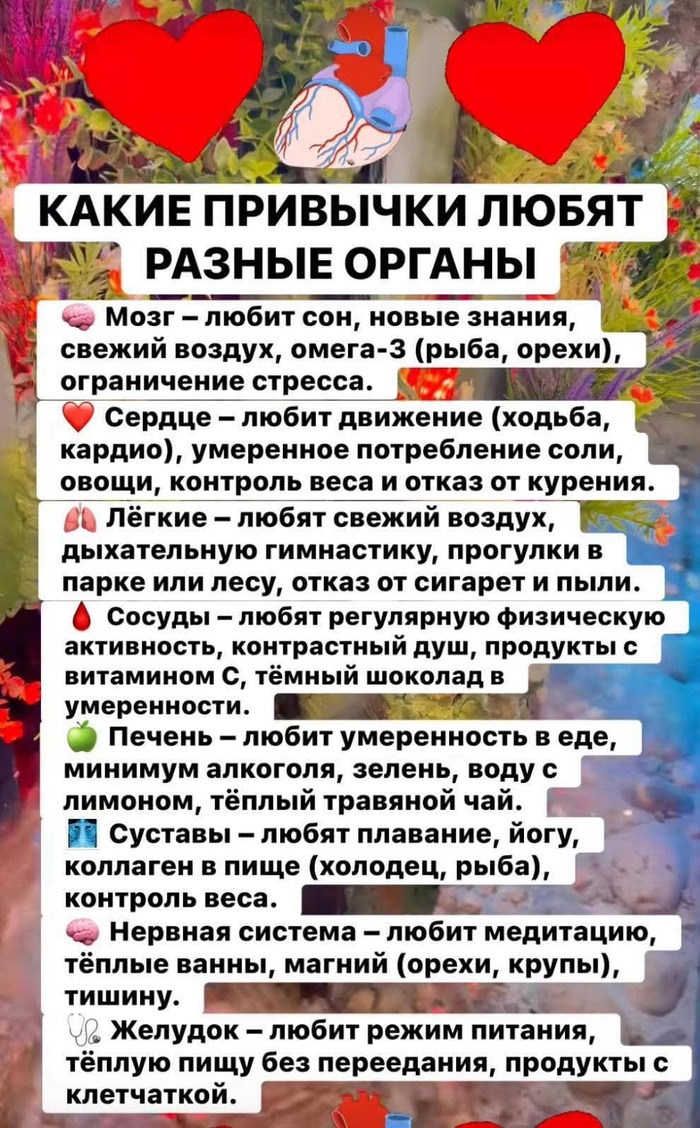 А вы что любите? Метафорически)