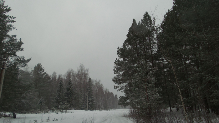 ����� Sl0t � ������� ���� ���������� �����������, ������� � ���� ����� � ������