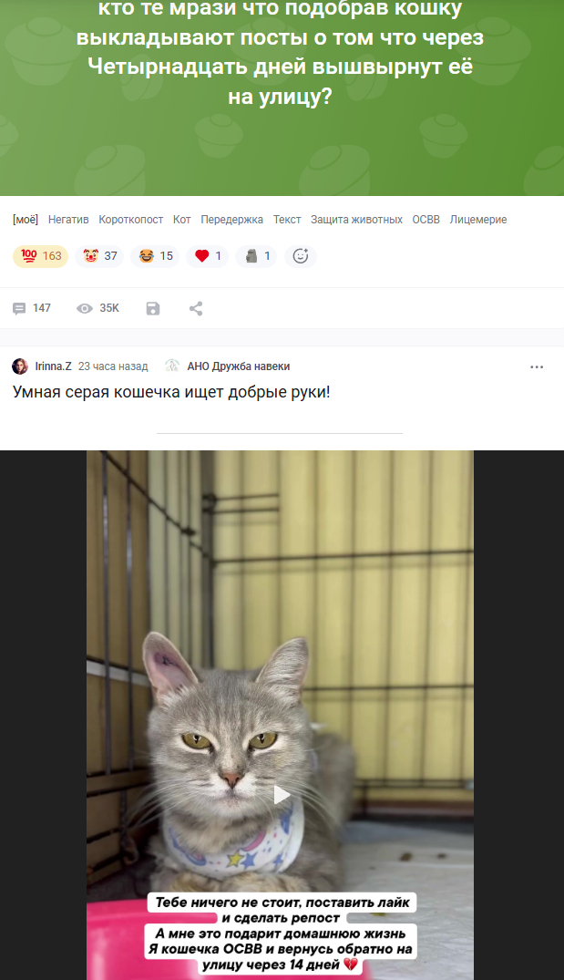 Ответ на пост «Что это за такие твари?»