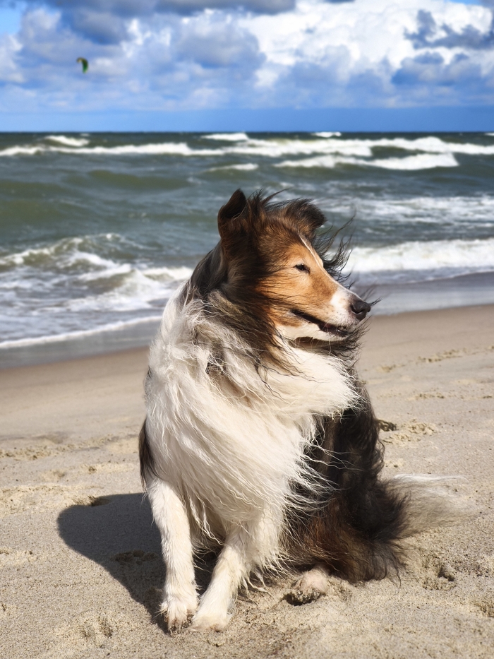День был ветреный, но тёплый. Плавать не плавали, но в прибое ножки помочили ))