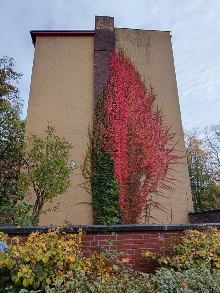 Ответ на пост «Просто хочу поделиться фотографией, которую у себя нашел а архиве»