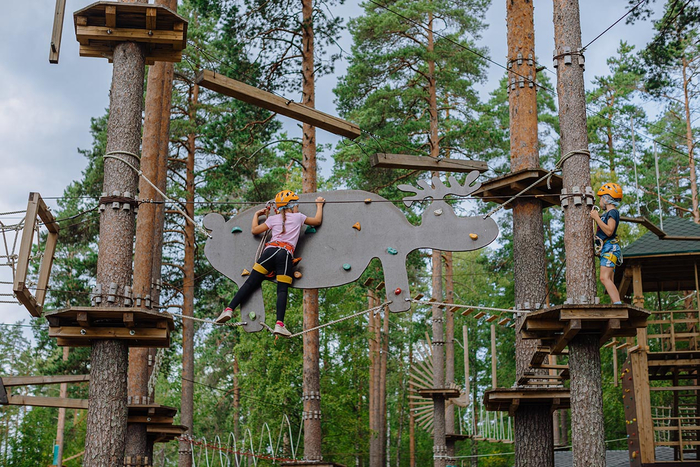 Топ-5 ошибок при заказе веревочного городка — как не потерять бюджет