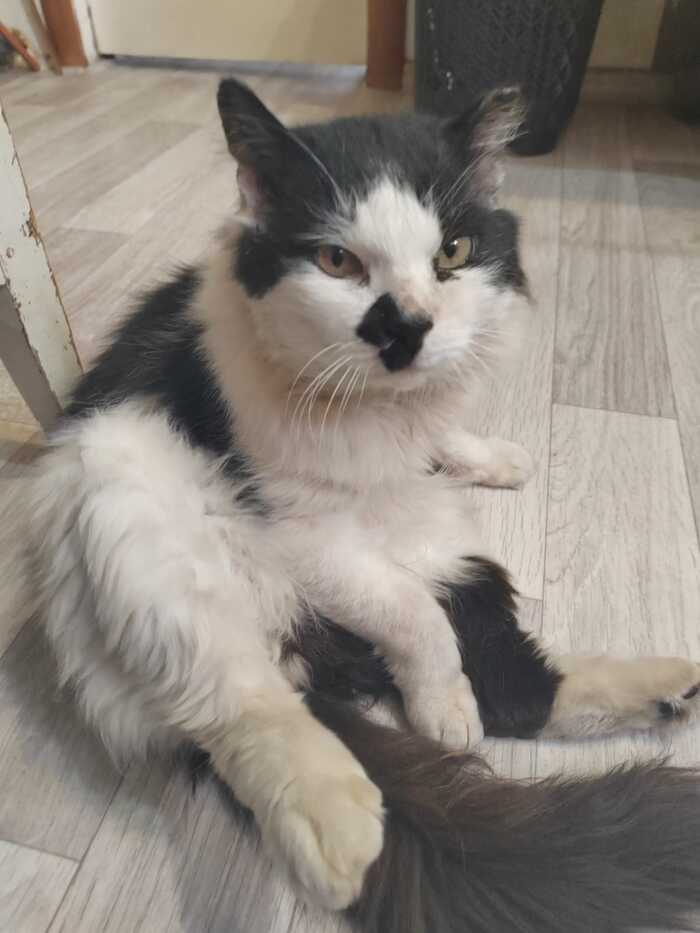 на расслабоне))