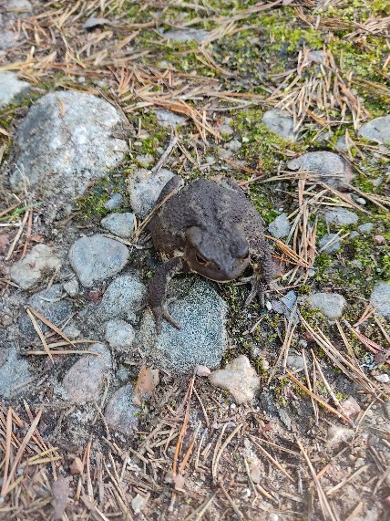 Ответ Skywalkersmantra в «Просто хочу поделиться фотографией, которую у себя нашел а архиве»