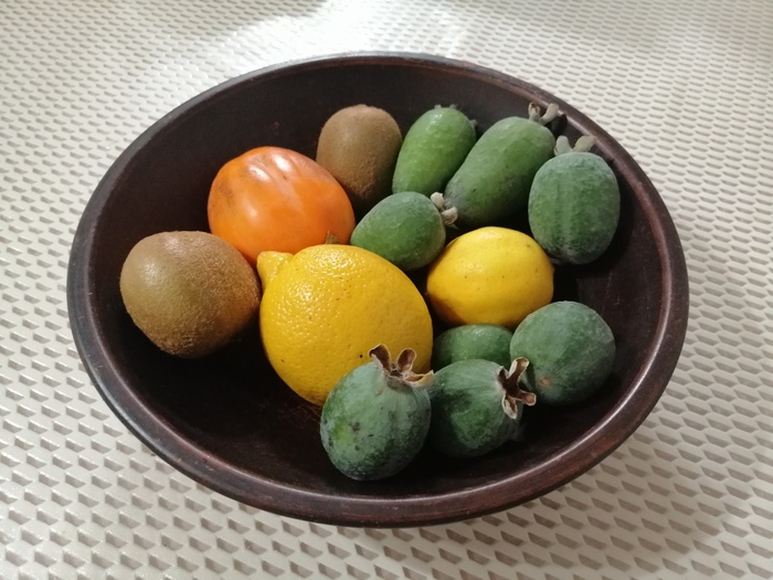 ������� ���������