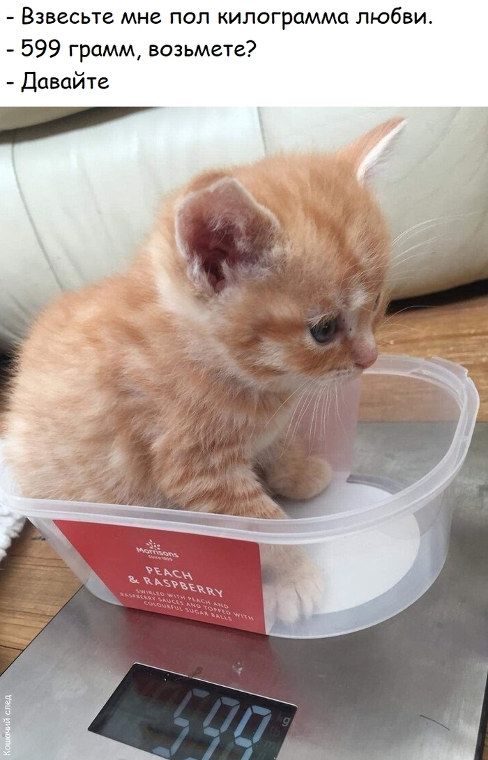 Сколько вешать в граммах?