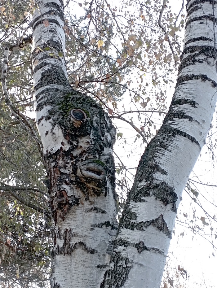 Вы это видите?